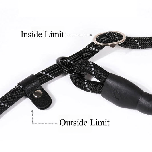 Strong Leash Prevent Burst Forward Leash