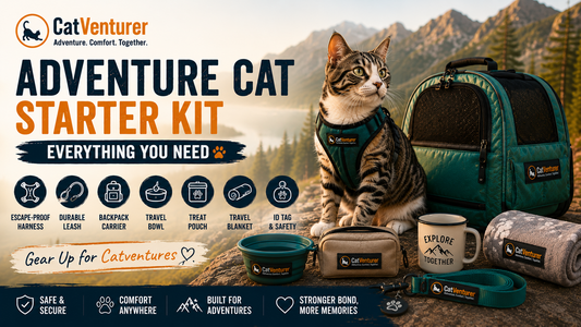 Adventure Cat Starter Kit: Everything You Need (2026 Beginner Guide)