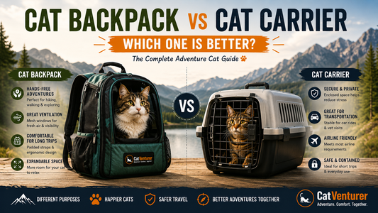 Cat Backpack vs Cat Carrier: Which One Is Better? The Complete Adventure Cat Guide (2026)