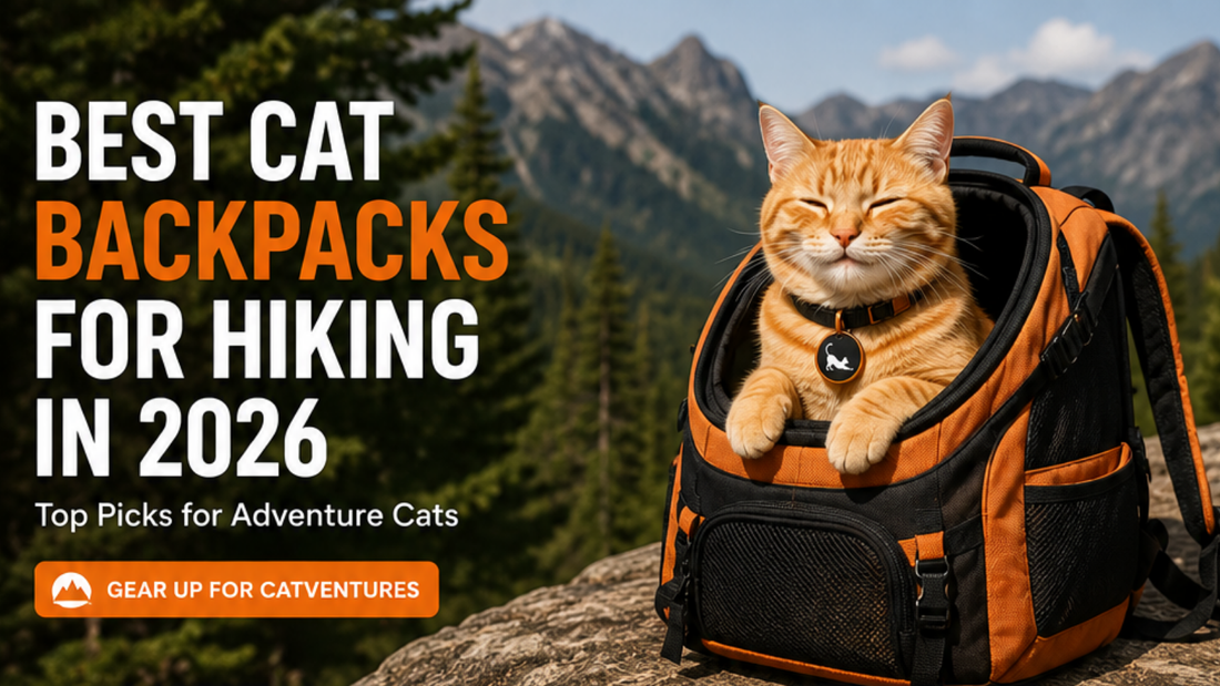 Best Cat Backpacks for Hiking in 2026: Top Picks for Adventure Cats