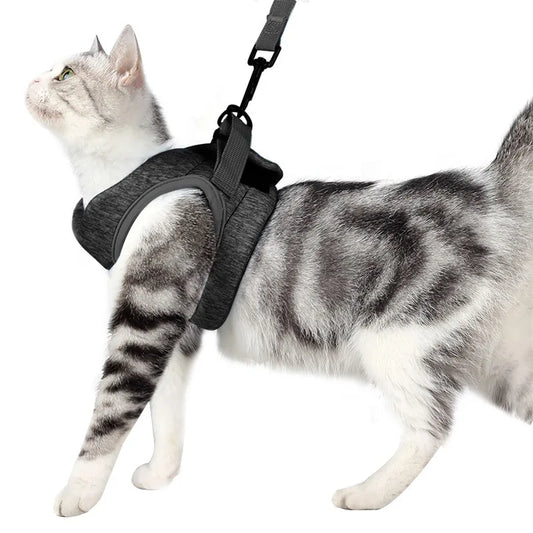 Adjustable Anti-Escape Small Cat Belt Kitten