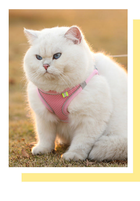 Cat Harness Vest Chest Rope Set