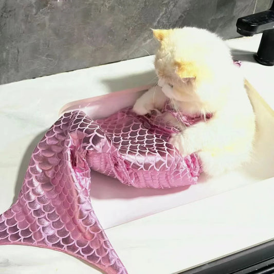 Mermaid Cat Halloween Costumes Sparkly Cosplay