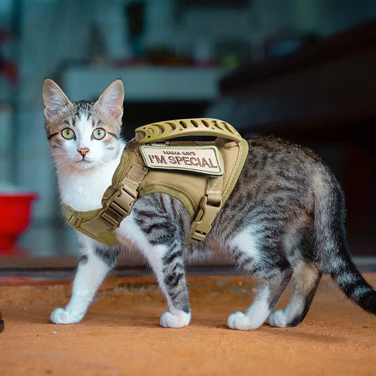 Tactical Cat Harness For Walking Escape Proof Adjustable